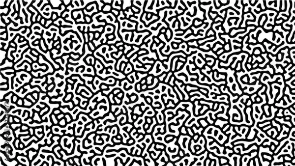 Fototapeta black and white geometric texture, grafic pattern for fabric, tile or backgroun