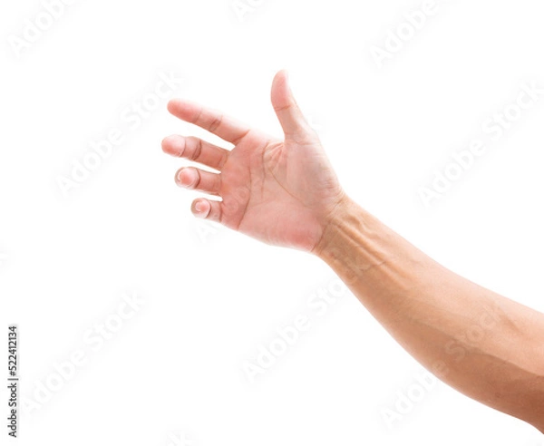 Obraz Man hand isolated