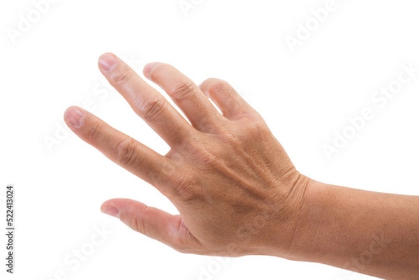 Obraz Hand isolated