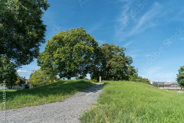 Obraz 京都・平安京・西寺跡