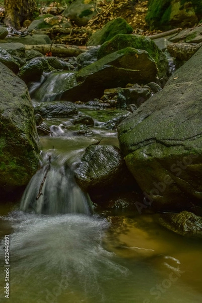 Fototapeta stream in the forest