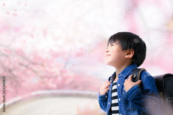 Fototapeta メインビジュアルにも！桜背景のランドセル男児