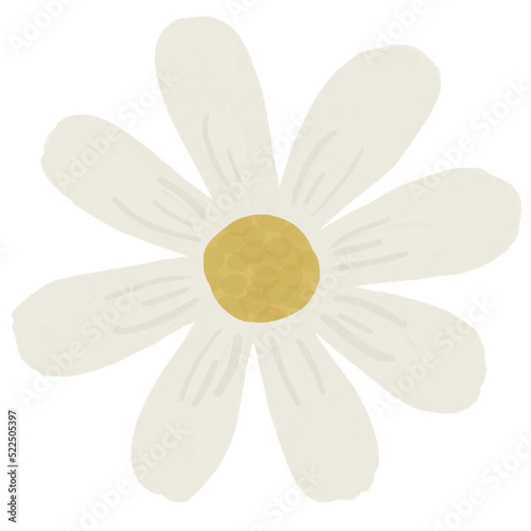 Obraz Daisy Flower Element Decoration 