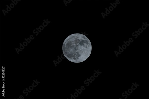 Fototapeta 満月