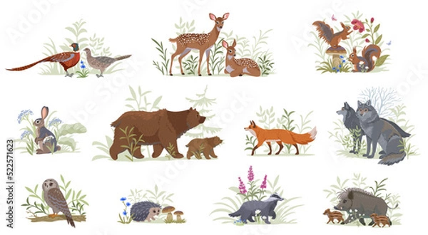 Obraz set forest animals