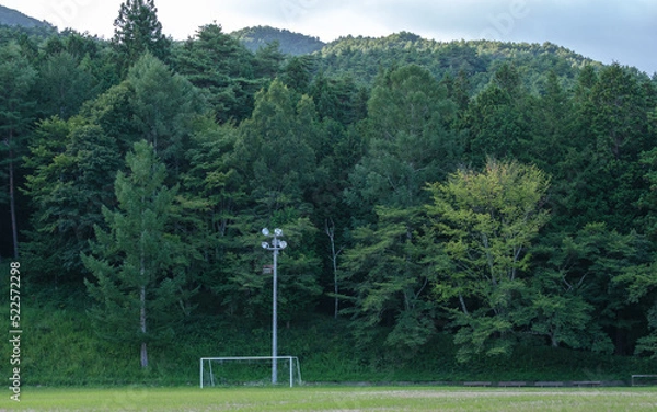 Fototapeta 忘れ去られたゴールポスト