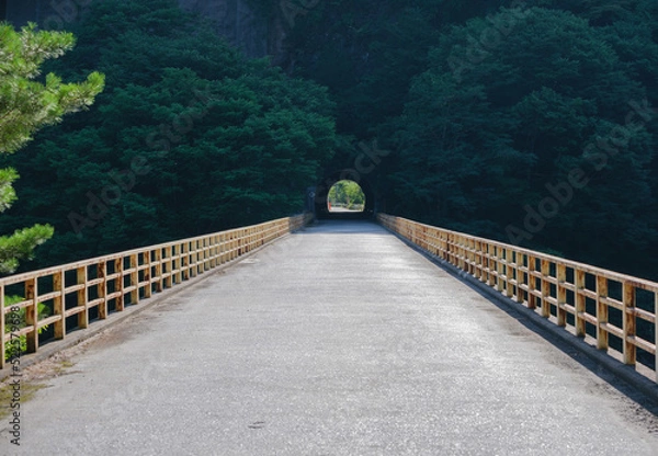 Fototapeta 小さくて古いトンネル