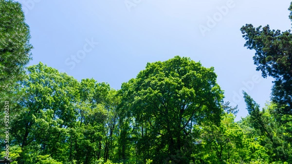 Fototapeta 爽やかな青空と雲と山の景色