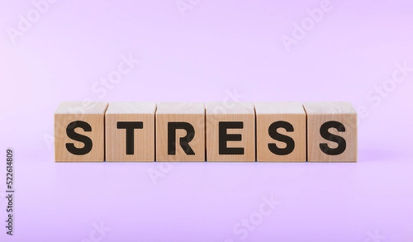 Obraz Text STRESS on wooden cubes on a pink background.