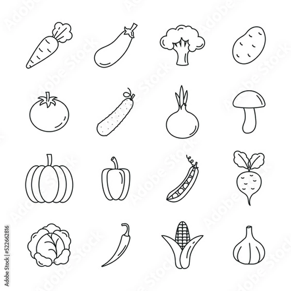 Fototapeta Set of veggies icon. vegetarian, vegetable pack symbol template for graphic and web design collection logo vector illustration