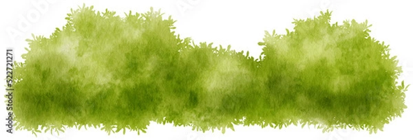 Obraz Bush Watercolor hand-painted