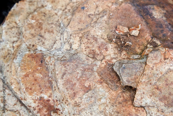 Obraz texture of the stone