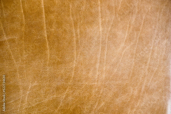 Obraz leather texture