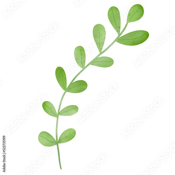 Obraz Christmas Leaf Watercolor