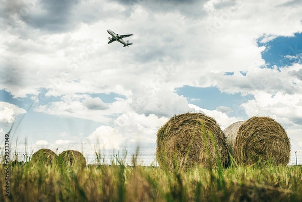 Obraz hay bales in the field
