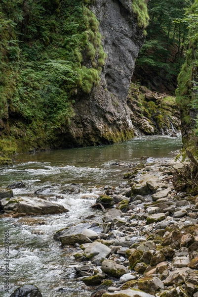 Obraz Breitachklamm