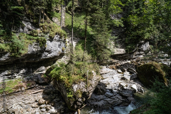 Obraz Breitachklamm