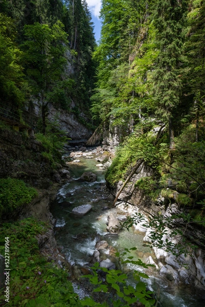 Obraz Breitachklamm