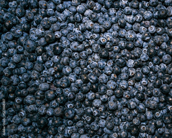 Fototapeta blueberries