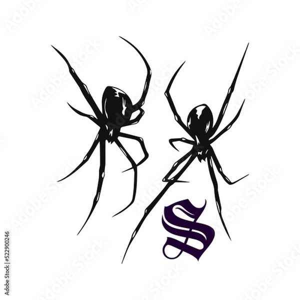 Fototapeta vector illustration of two black spiders