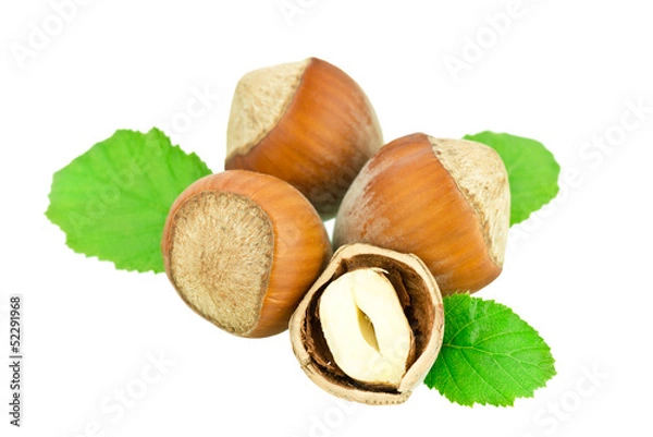 Obraz Orzechy laskowe na białyn tle