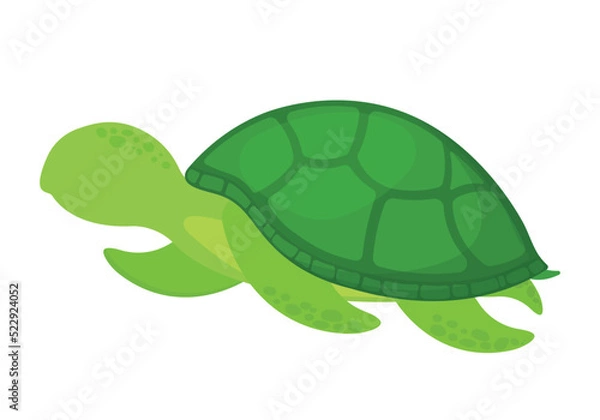 Fototapeta Hand Drawn Faceless Turtle Icon Clipart Cartoon Vector for Sea Animal Collection Animated Image