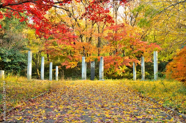 Obraz 神奈川県川崎市　生田緑地戸隠不動尊跡の紅葉