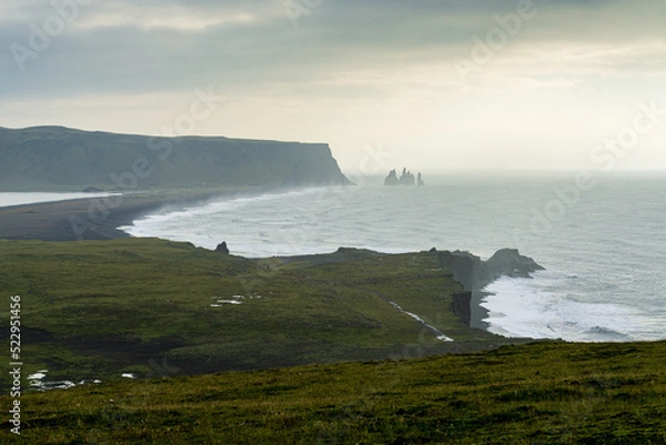 Obraz Island - Dyrholaey