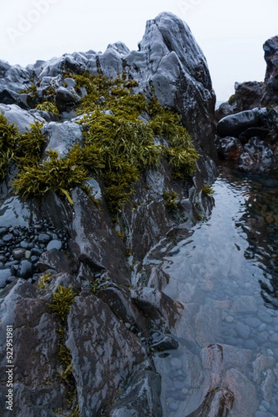 Obraz Felsen Snaefellsnes Halbsinsel