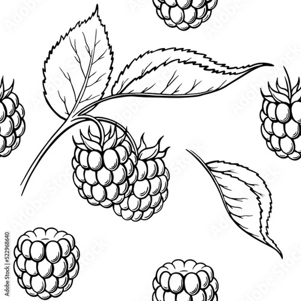 Fototapeta raspberry seamless