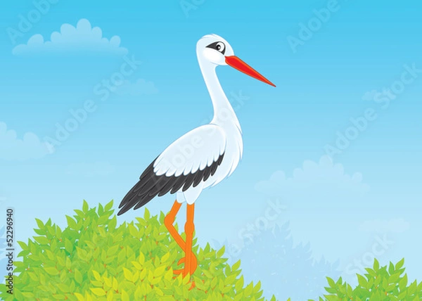 Obraz Stork