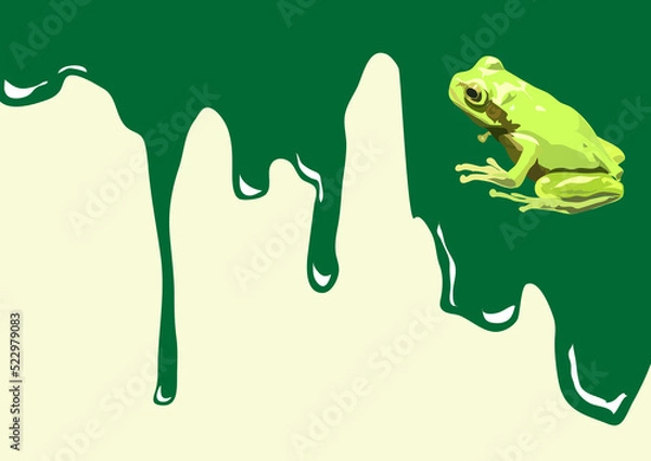 Fototapeta カエル