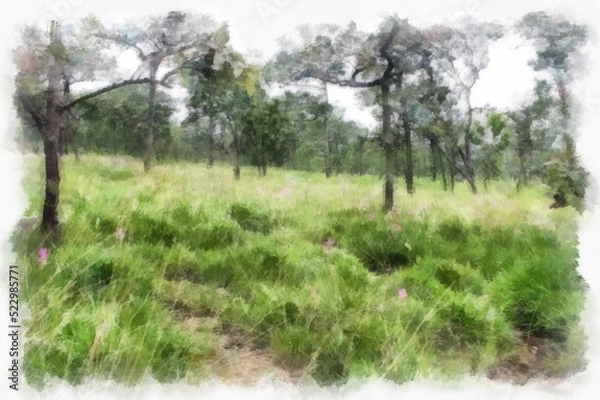 Fototapeta landscape of mountains forests trees and fog watercolor style illustration impressionist painting.