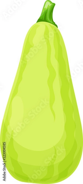 Fototapeta Whole zucchini courgette isolated cartoon veggie