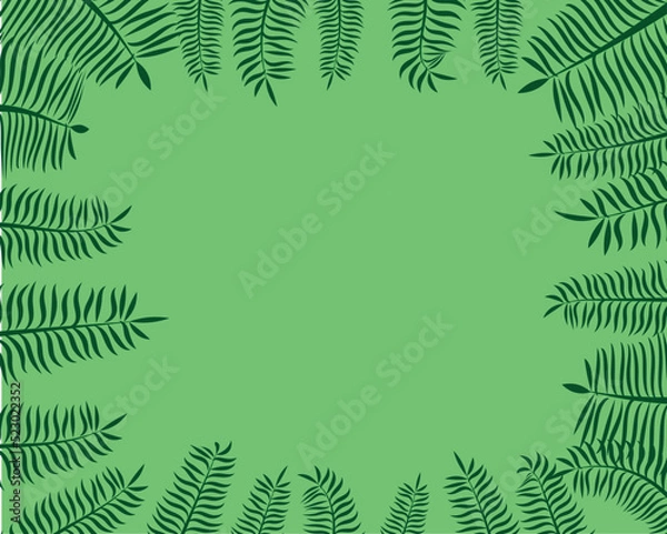 Obraz fern leaves background