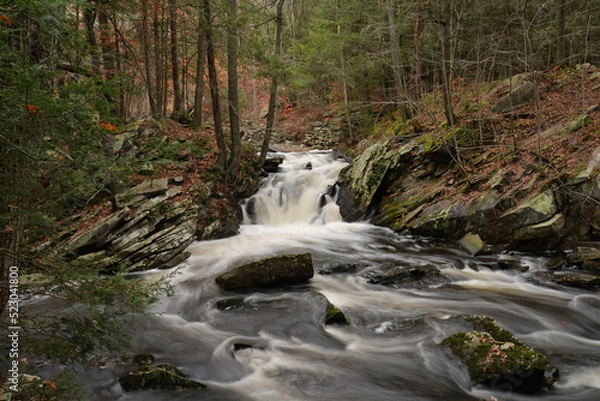 Obraz Saugatuck Falls CT