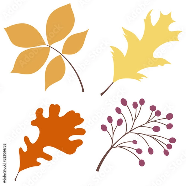 Fototapeta Automn Leaf Vector Icon Illustration in flat design.