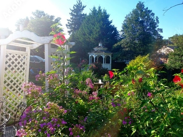 Obraz garden with flowers