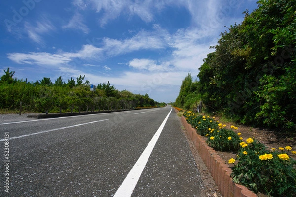 Fototapeta 千葉県のドライブコース