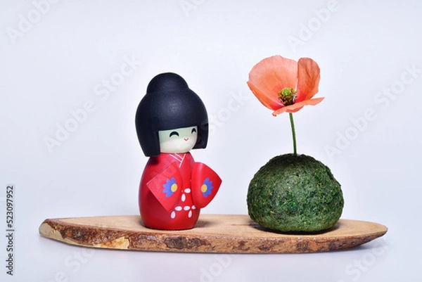 Obraz 人形とポピーの花