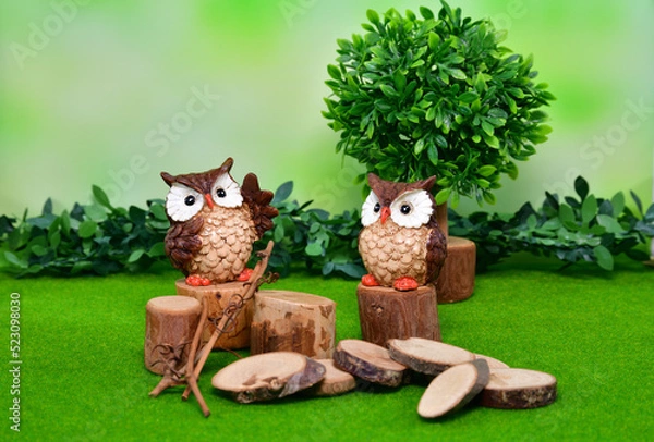 Obraz 会話するふくろう