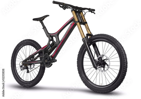 Obraz Mountain bike