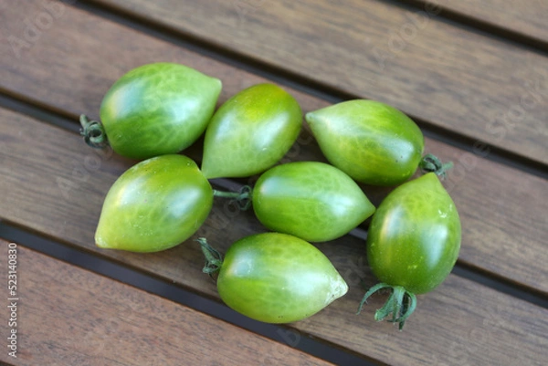 Obraz Tomatensorte Green Envy