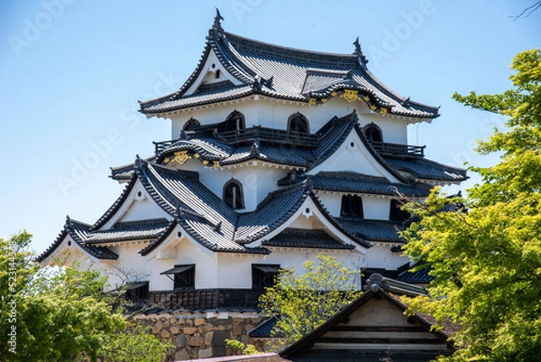 Fototapeta 彦根城