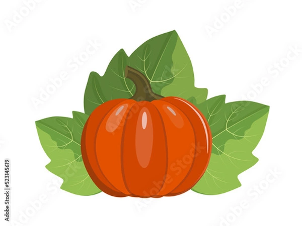 Fototapeta Orange pumpkin with leaves, flat style vector illustration isolated on white background