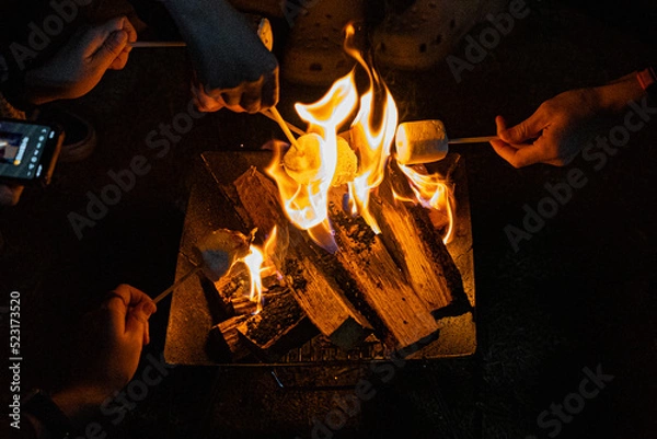 Obraz 캠핑의 모닥불 화로