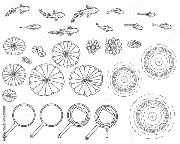 Fototapeta 金魚と蓮とポイの手書きイラスト-線画