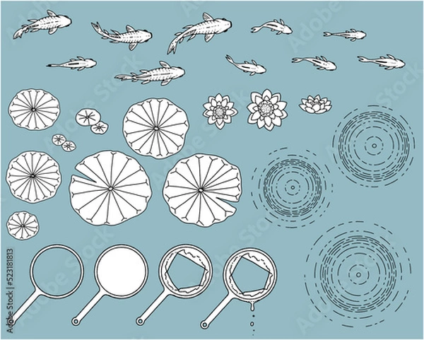 Fototapeta 金魚と蓮とポイの手書きイラスト-線画