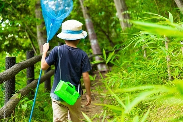 Fototapeta 小学生の夏休み