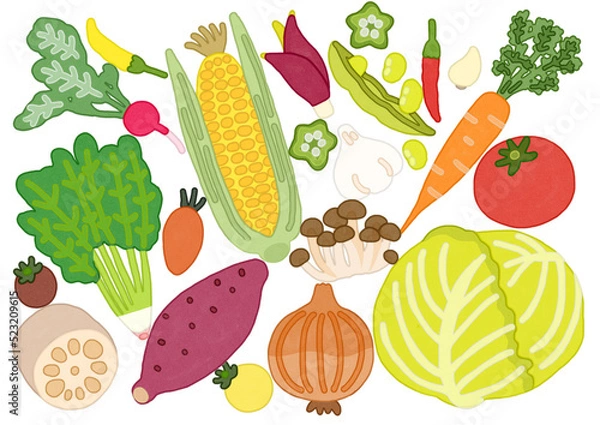 Fototapeta ポップな野菜のセット　背景　水彩画　イラスト
